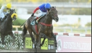 SIS patrocinará histórico Derby Argentino no Hipódromo de Palermo