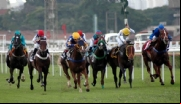 Ministério da Agricultura autoriza Jockeys Clubs a promoverem apostas em cavalos