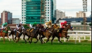 Vereadores de SP aprovam proibição de corrida de cavalo com apostas