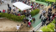 Festival GP Brasil Pixbet 2023 agita o Hipódromo da Gávea e resgata a importância do turfe no Rio