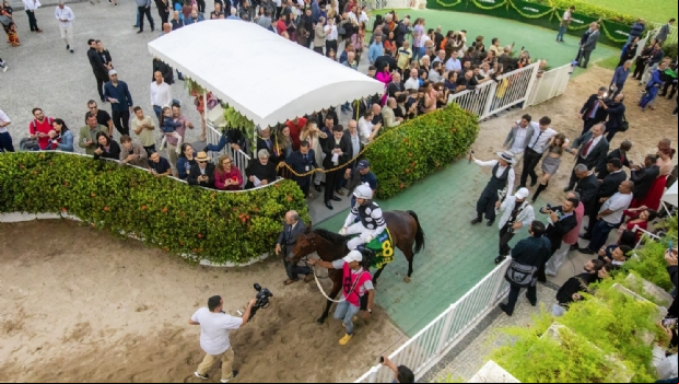 Festival GP Brasil Pixbet 2023 agita o Hipódromo da Gávea e resgata a importância do turfe no Rio