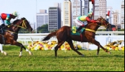 Justiça suspende lei que proíbe corridas de cavalo após pedido do Jockey Club de São Paulo
