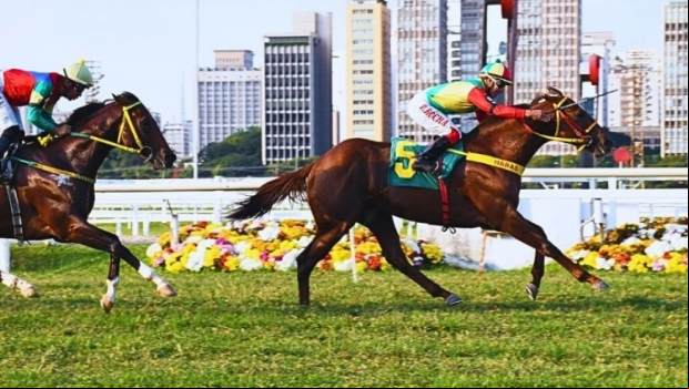 Justiça suspende lei que proíbe corridas de cavalo após pedido do Jockey Club de São Paulo