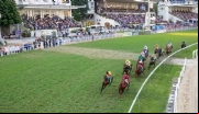 Jockey Club Brasileiro suspende temporariamente seu serviço de apostas via Whatsapp