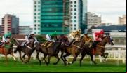 Justiça suspende lei que proibia corrida de cavalos no Jockey Club de São Paulo